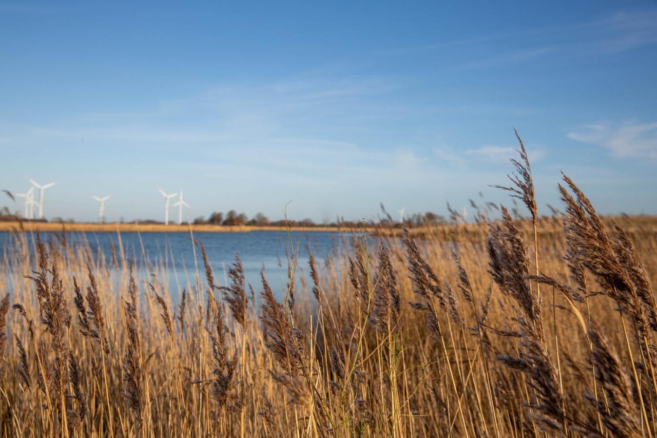 Daenisches Blockhaus Direkt Am Wangermeer Шиллиг Экстерьер фото